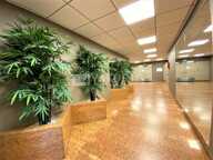 BUREAUX à LOUER — photo 4