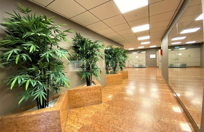 BUREAUX à LOUER — photo 4