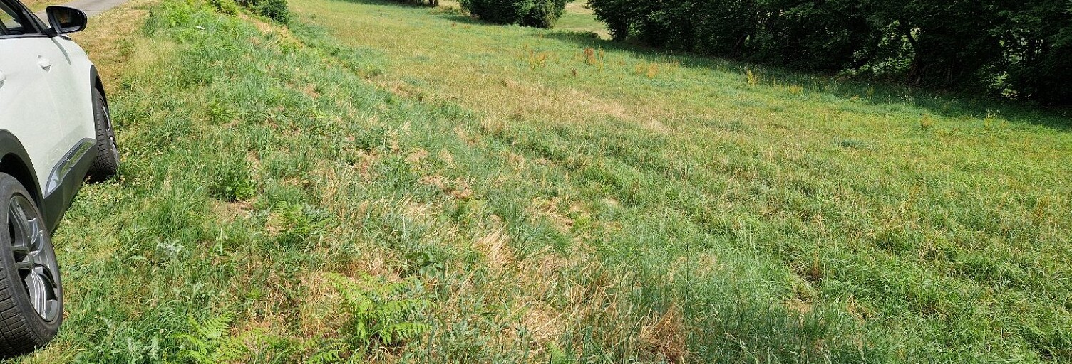 Terrain  4700 m² à vendre à Vabre (81330)