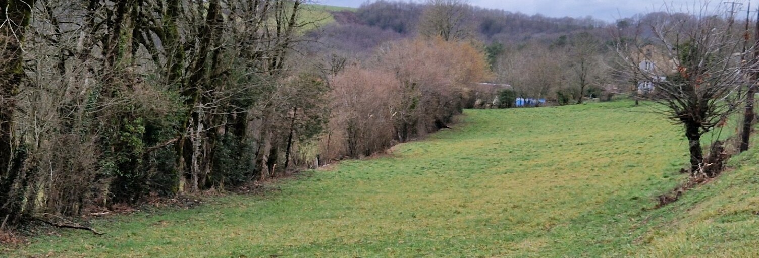 Terrain  4700 m² à vendre à Vabre (81330)