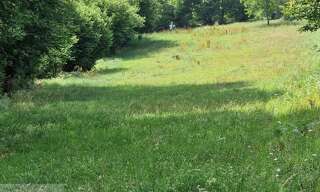 Terrain  4700 m² à vendre à Vabre (81330)