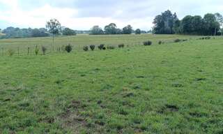 Terrain  1000 m² à vendre à Saint-Cirgues-de-Malbert (15140)