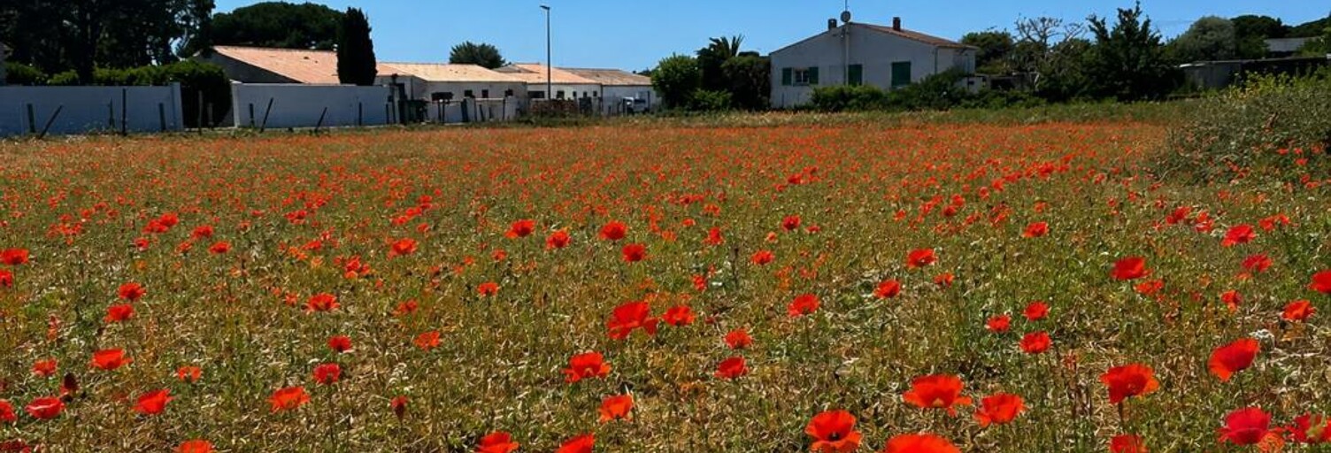 Terrain  550 m² à vendre à Sainte-Marie-de-Ré (17740)