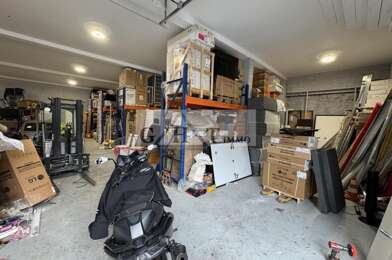 Local industriel  1320000 €
