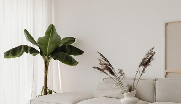 Appartement 4 pièces  à vendre Bruguières 31150