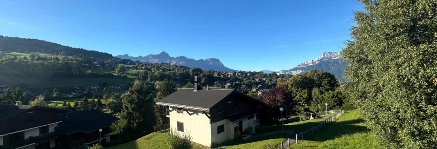 Appartement 2 Pièces 22 m² à vendre à Demi-Quartier (74120)