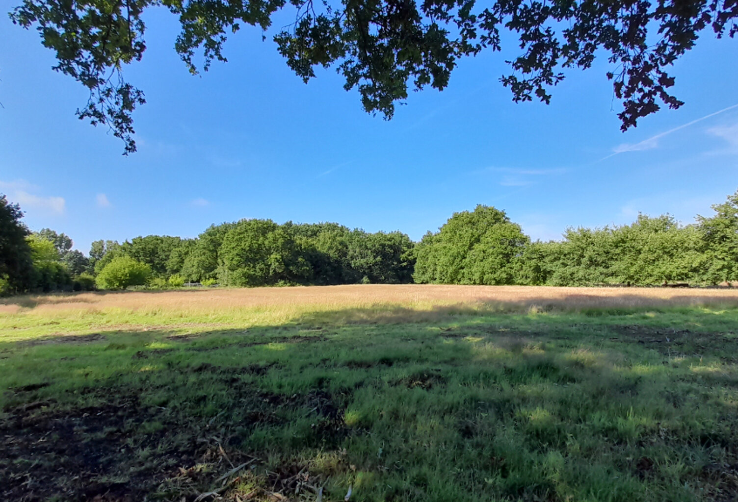 SAINT VIVIEN - TERRAIN MIXTE    8100 m2 — photo 1