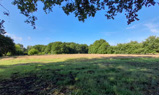 Terrain  8100 m² à vendre à Saint-Vivien-de-Médoc (33590)