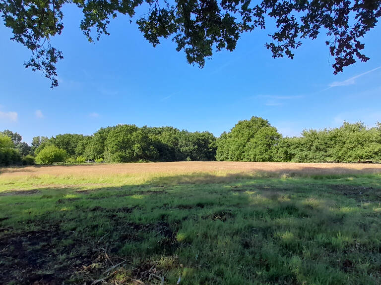 SAINT VIVIEN - TERRAIN MIXTE    8100 m2 — photo 1