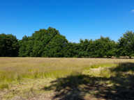 SAINT VIVIEN - TERRAIN MIXTE    8100 m2 — photo 3