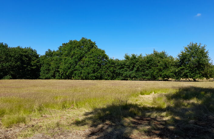 SAINT VIVIEN - TERRAIN MIXTE    8100 m2 — photo 3