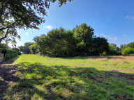 SAINT VIVIEN - TERRAIN MIXTE    8100 m2 — photo 4