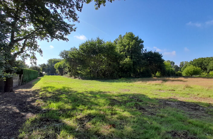 SAINT VIVIEN - TERRAIN MIXTE    8100 m2 — photo 4