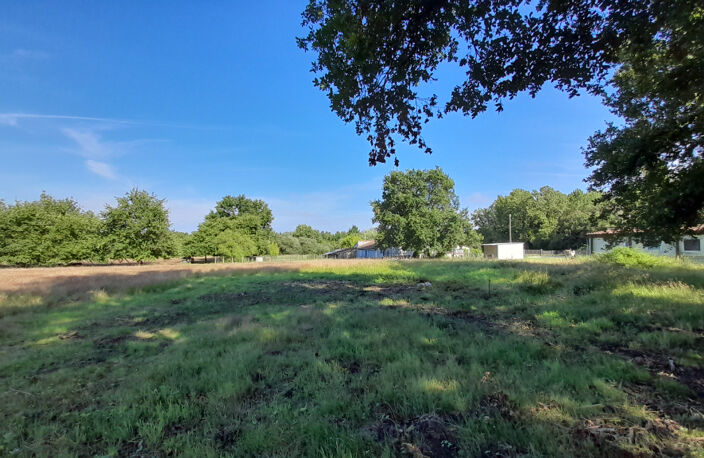 SAINT VIVIEN - TERRAIN MIXTE    8100 m2 — photo 5