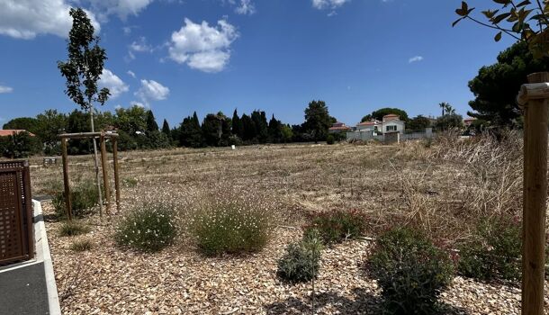 Terrain  à vendre Sainte-Marie 66470