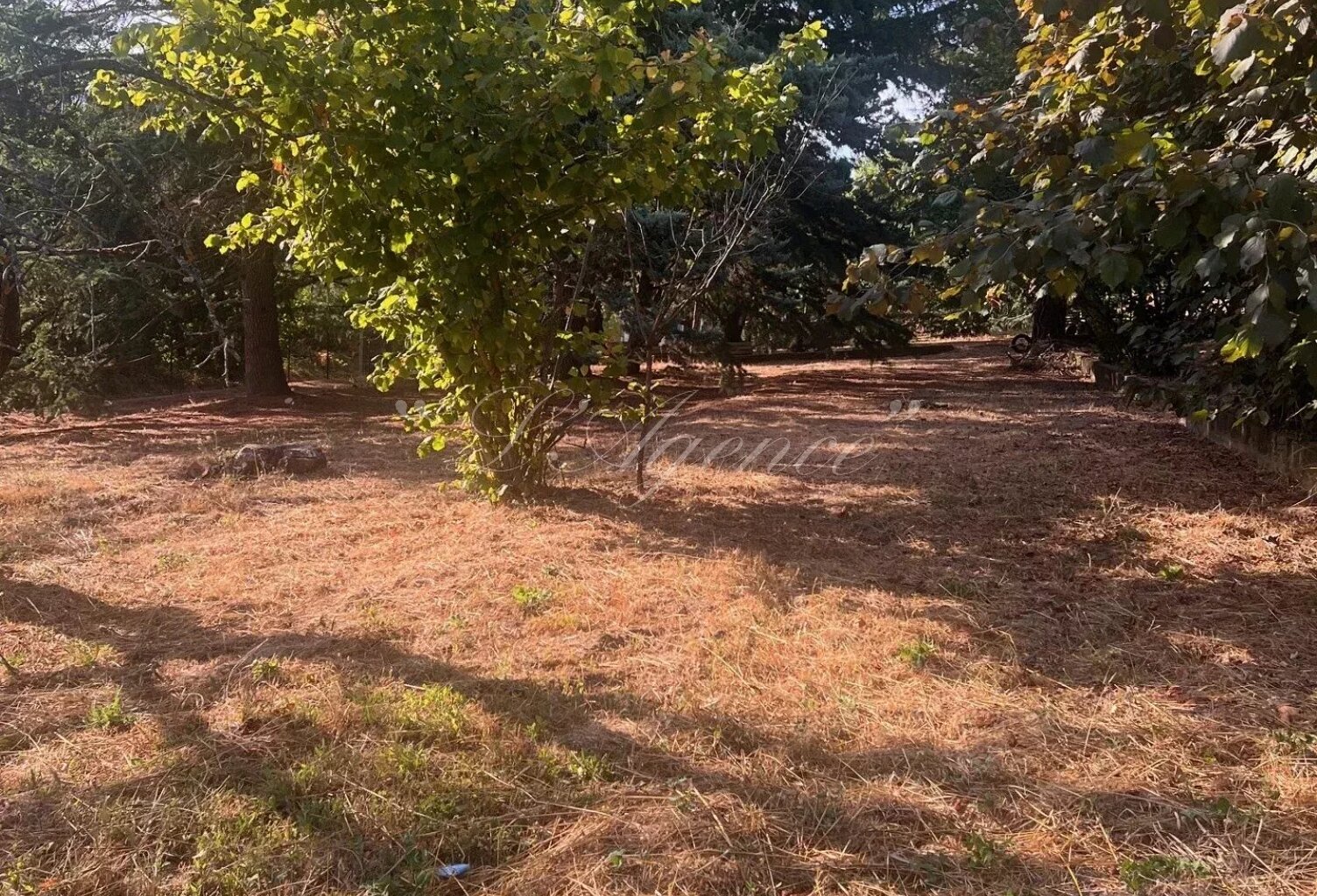 TERRAIN CONSTRUCTIBLE BERRE LES ALPES — photo 1