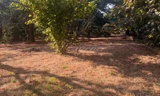 Terrain  1178 m² à vendre à Berre-les-Alpes (06390)