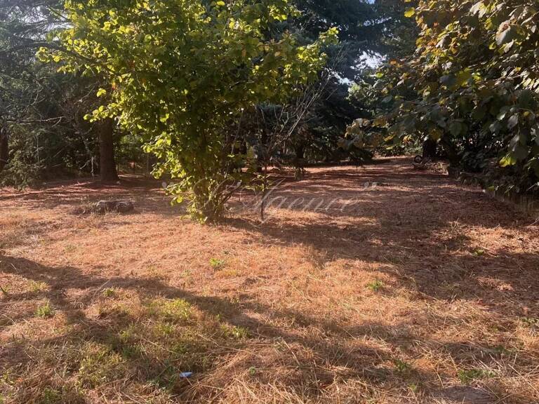TERRAIN CONSTRUCTIBLE BERRE LES ALPES — photo 1