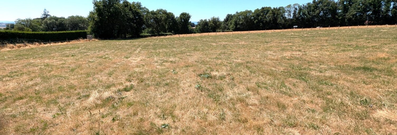 Terrain  1000 m² à vendre à Pradines (42630)