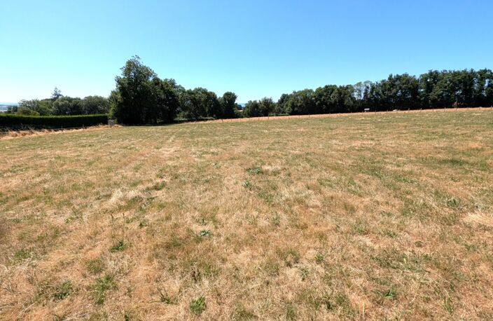 Terrain — photo 2