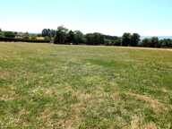 Terrain — photo 3