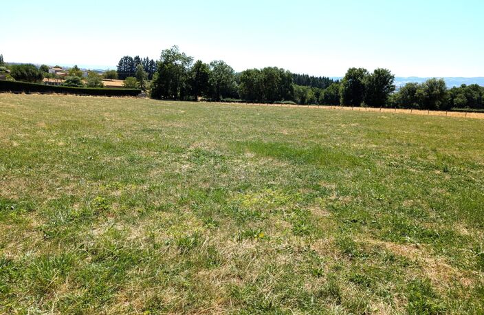 Terrain — photo 3
