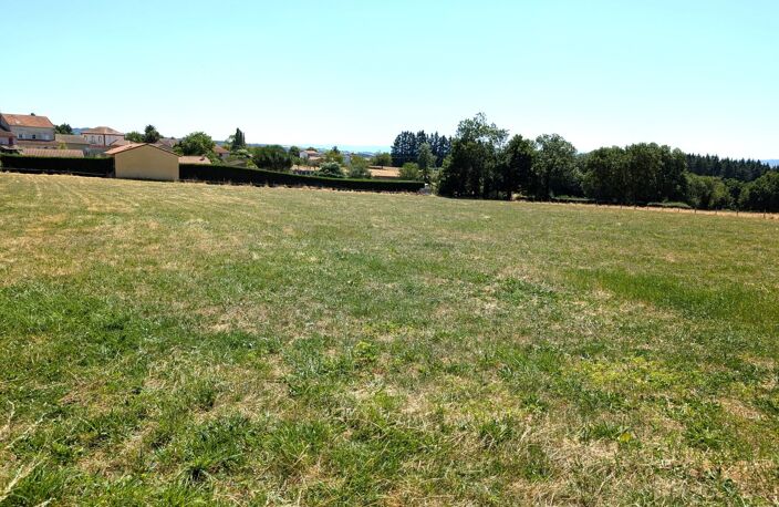 Terrain — photo 4