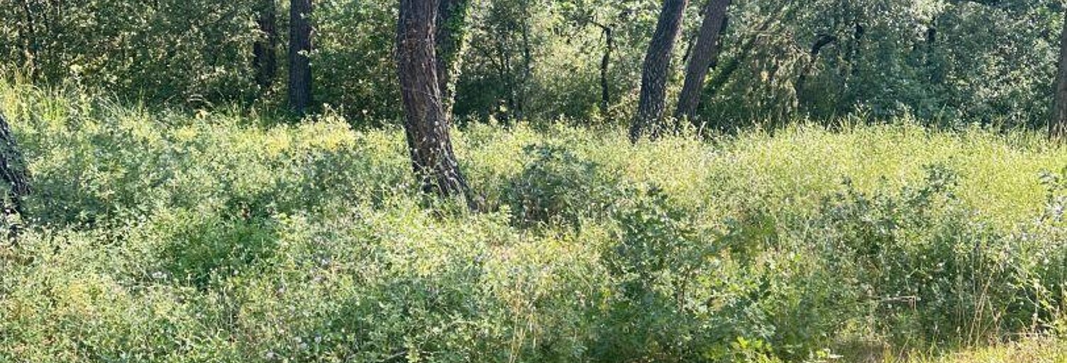 Terrain  344 m² à vendre à Suze-la-Rousse (26790)