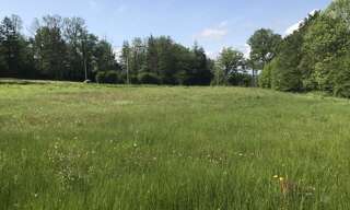 Terrain  5880 m² à vendre à Saint-Laurent-sur-Gorre (87310)