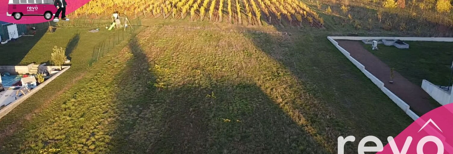 Terrain  1239 m² à vendre à Bellevigne-en-Layon (49750)