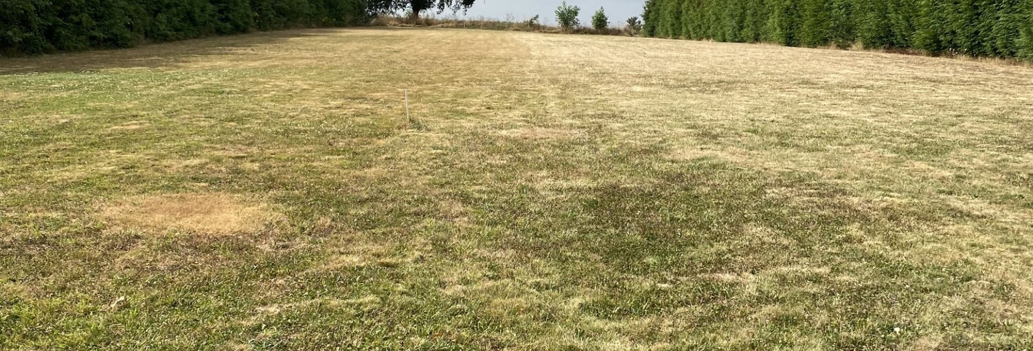 Terrain  3834 m² à vendre à Taupont (56800)