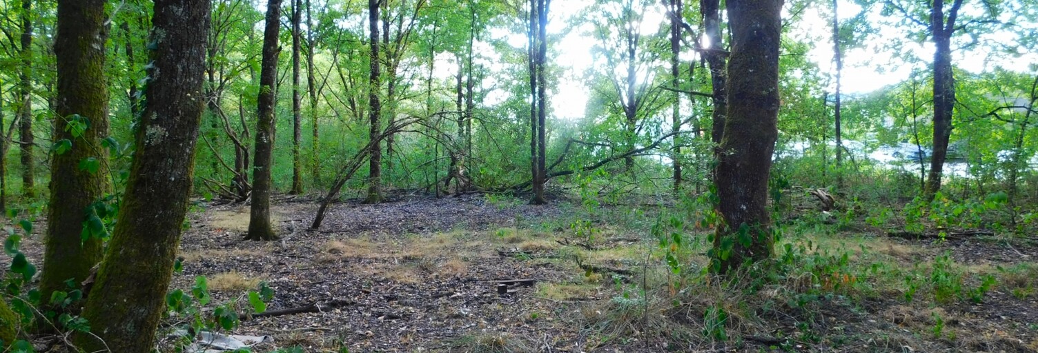 Terrain  6210 m² à vendre à Salbris (41300)