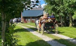 Maison 10 Pièces 300 m² à vendre à Avesnes-le-Comte (62810)