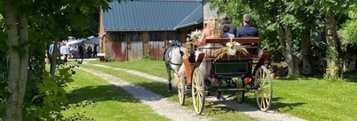 Maison 10 Pièces 300 m² à vendre à Avesnes-le-Comte (62810)