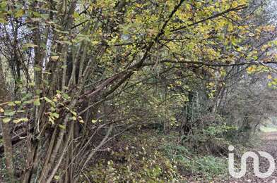 Terrain  4900 €