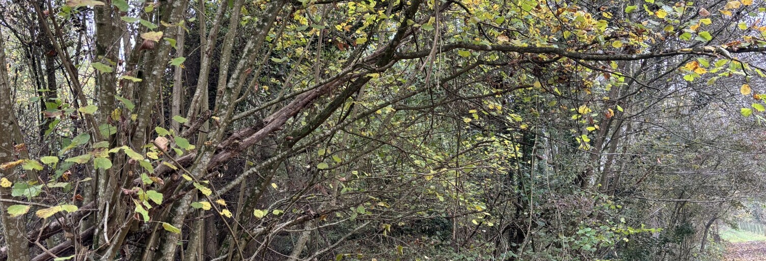 Terrain  732 m² à vendre à Lorry-lès-Metz (57050)