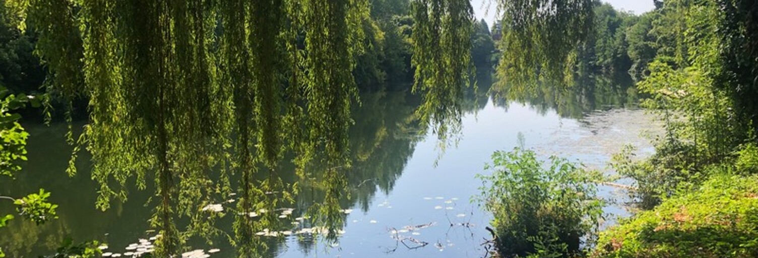 Terrain  353 m² à vendre à Saint-Front-de-Pradoux (24400)