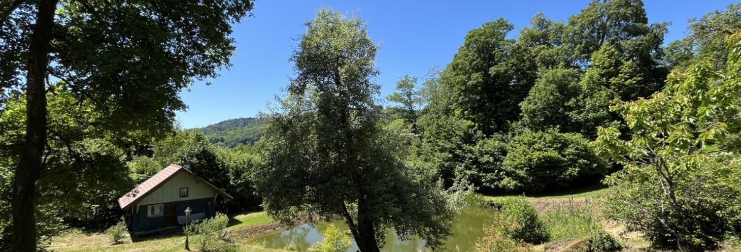 Maison 20 Pièces 330 m² à vendre à Fresse (70270)