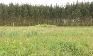 Terrain  1150 m² à vendre à Bats (40320)