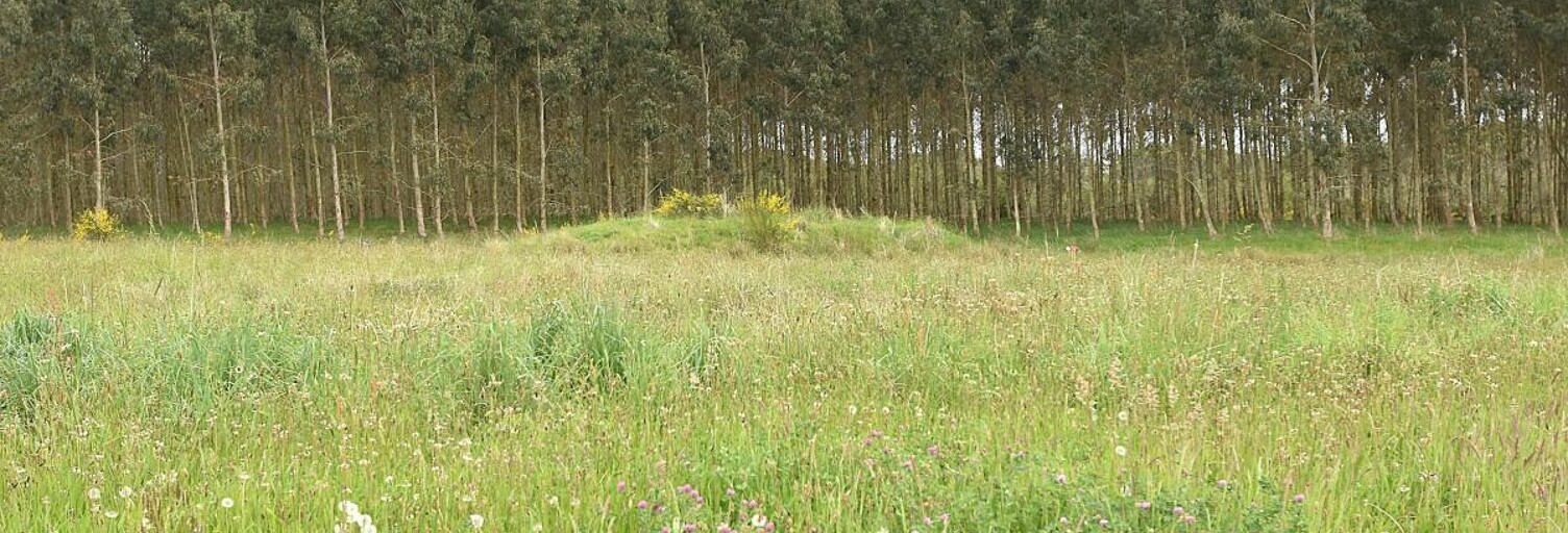 Terrain  1150 m² à vendre à Bats (40320)