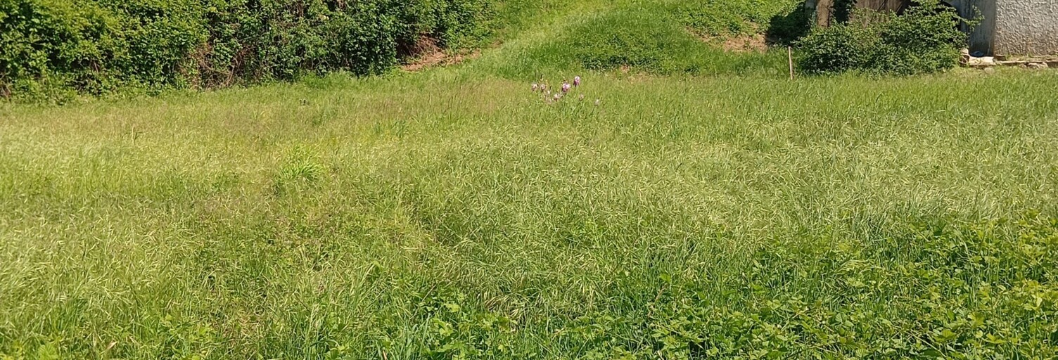 Terrain  945 m² à vendre à Mollans-sur-Ouvèze (26170)