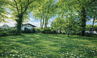 Terrain  375 m² à vendre à Andernos-les-Bains (33510)