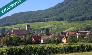 Terrain  527 m² à vendre à Westhalten (68250)