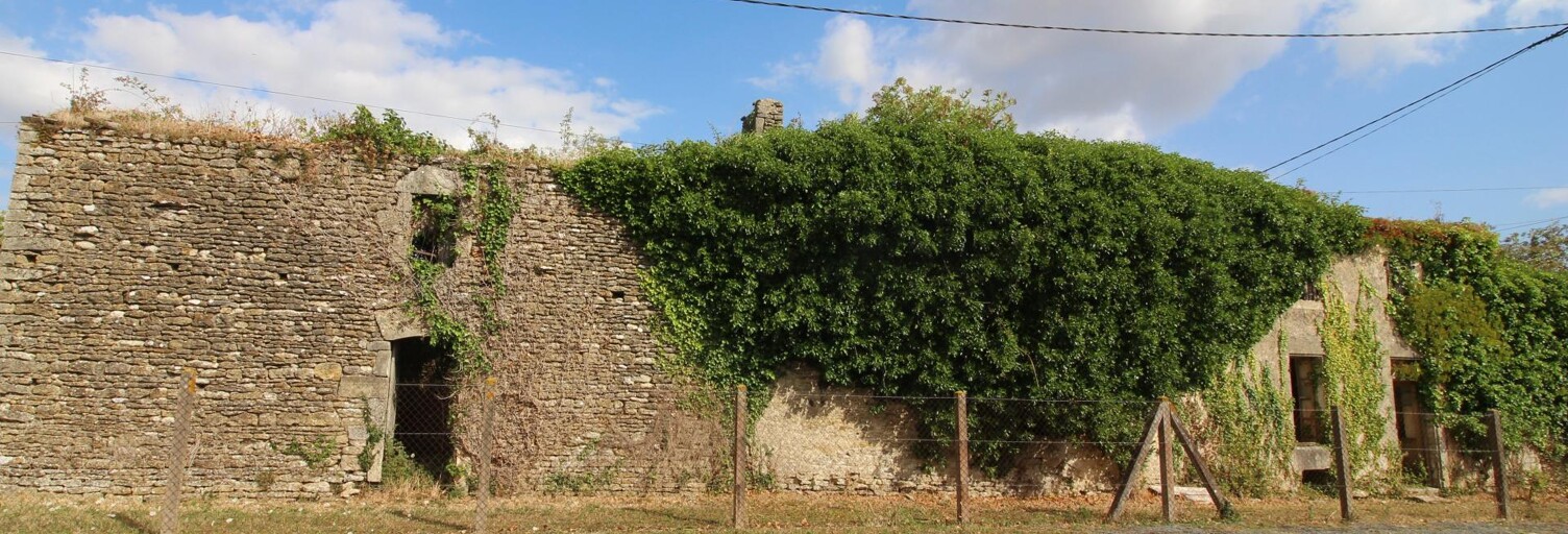 Maison 1 Pièce 150 m² à vendre à La Devise (17380)