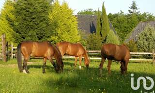 Maison 6 Pièces 350 m² à vendre à Saussey (50200)