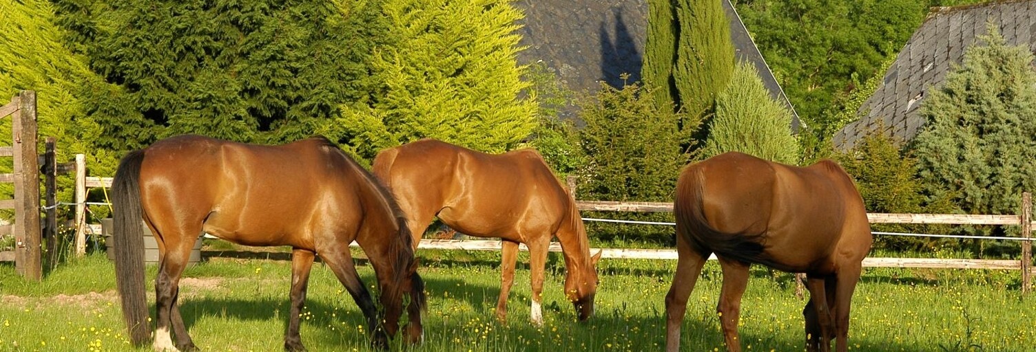 Maison 6 Pièces 350 m² à vendre à Saussey (50200)