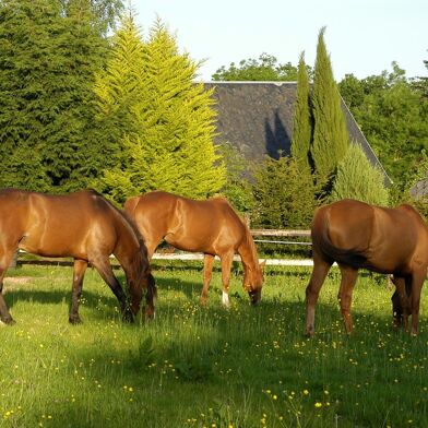 Maison 6 pièces 550000 €