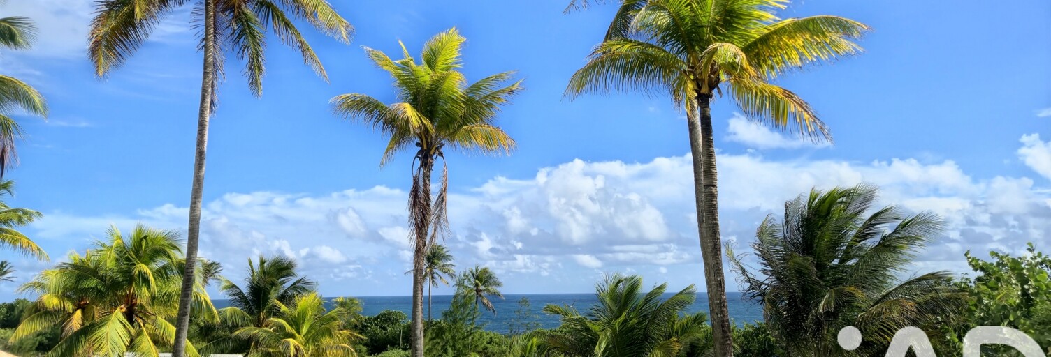 Appartement 1 Pièce 25 m² à vendre à Saint-François (97118)