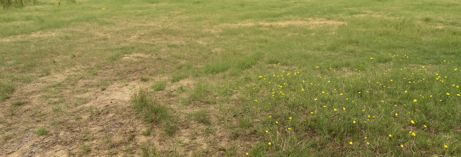 Terrain  442 m² à vendre à Saint-Sardos (82600)