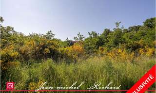 Maison  101030 m² à vendre à Le Controis-en-Sologne (41700)